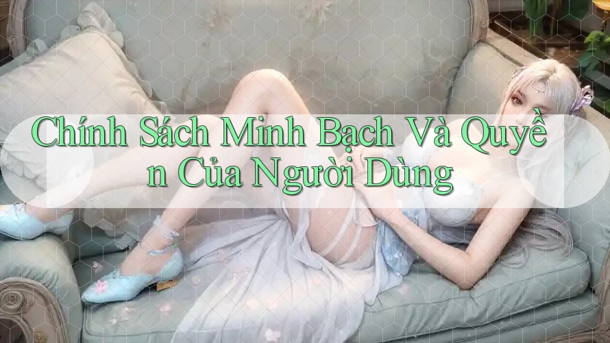 Chính Sách Minh Bạch Và Quyền Của Người Dùng