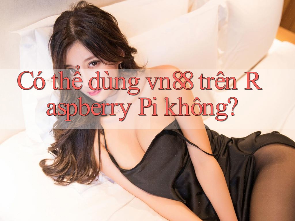Có thể dùng vn88 trên Raspberry Pi không?