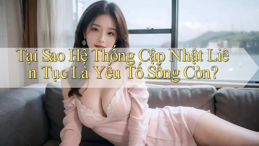 Tại Sao Hệ Thống Cập Nhật Liên Tục Là Yếu Tố Sống Còn?