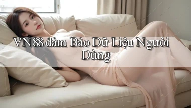 vn88  đảm bảo dữ liệu người dùng