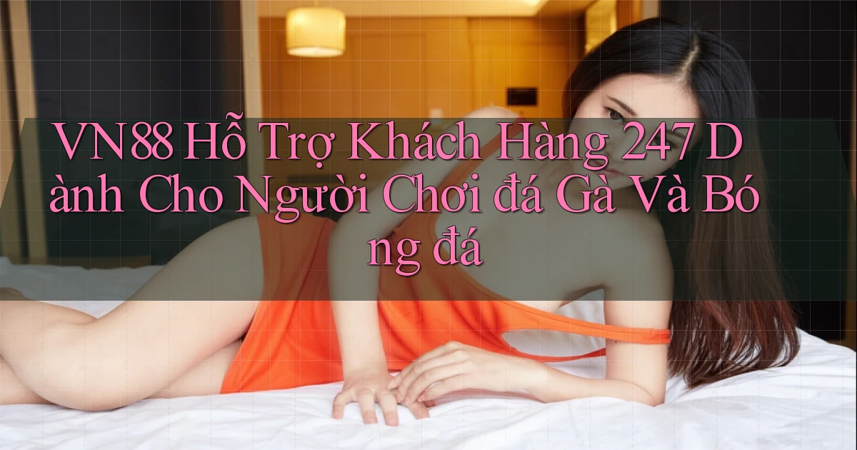 vn88  hỗ trợ khách hàng 24／7 dành cho người chơi đá gà và bóng đá